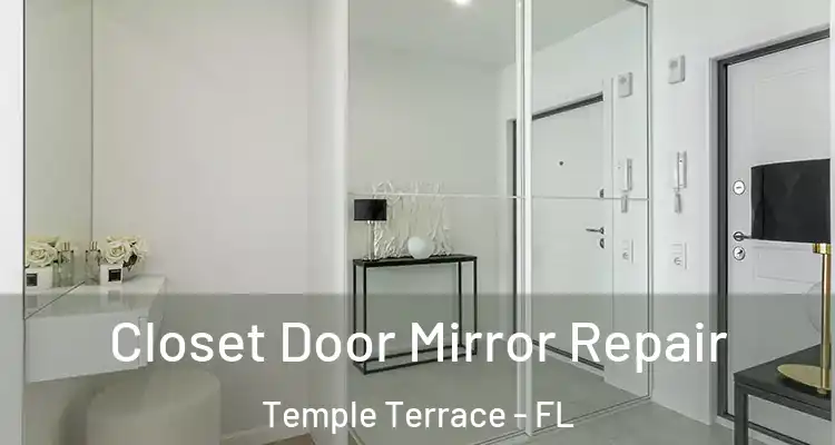  Closet Door Mirror Repair Temple Terrace - FL