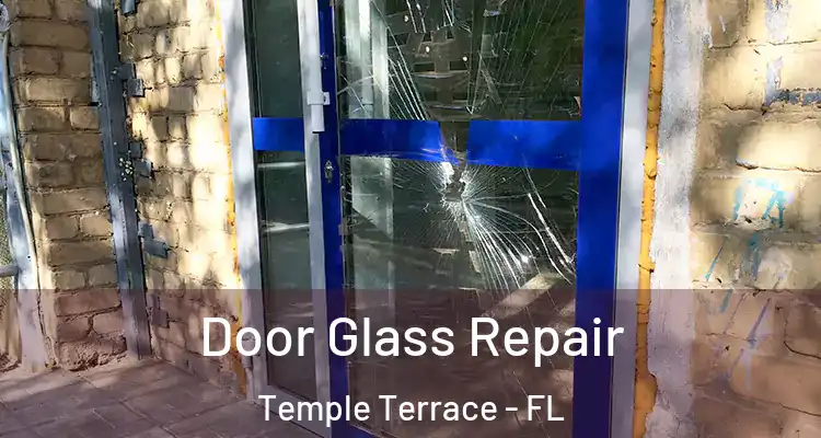  Door Glass Repair Temple Terrace - FL