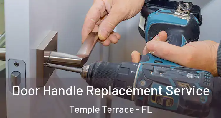  Door Handle Replacement Service Temple Terrace - FL