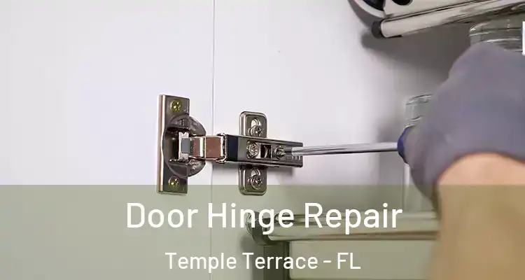  Door Hinge Repair Temple Terrace - FL