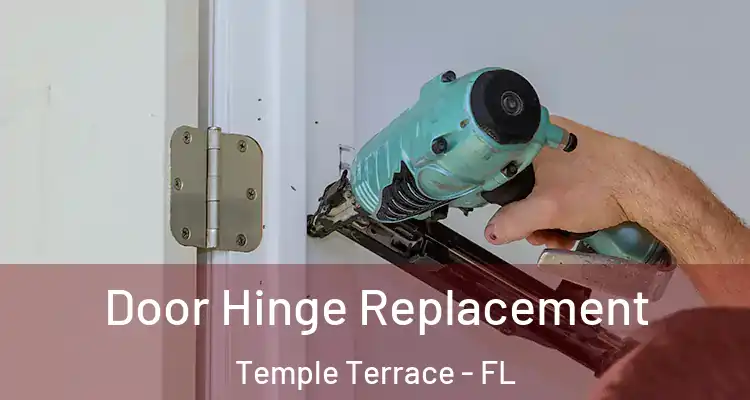  Door Hinge Replacement Temple Terrace - FL