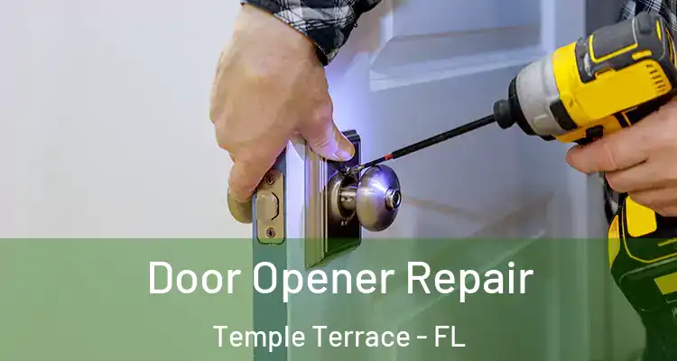  Door Opener Repair Temple Terrace - FL