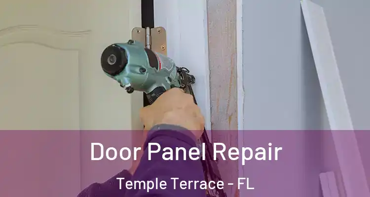  Door Panel Repair Temple Terrace - FL