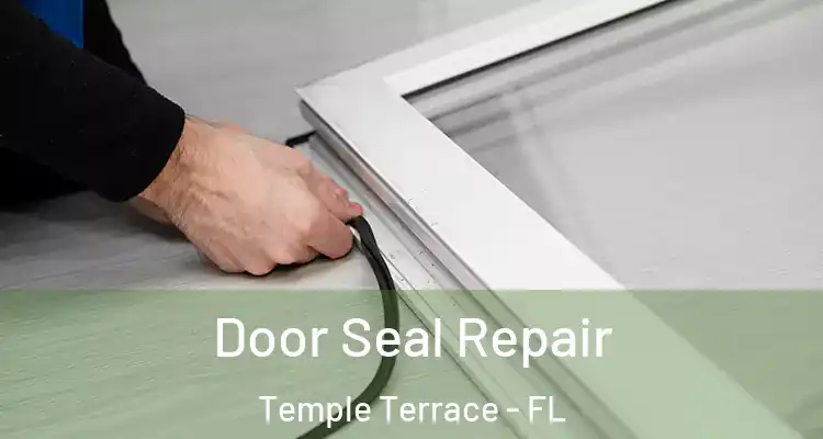  Door Seal Repair Temple Terrace - FL