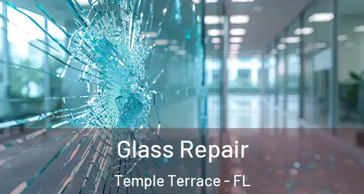  Glass Repair Temple Terrace - FL