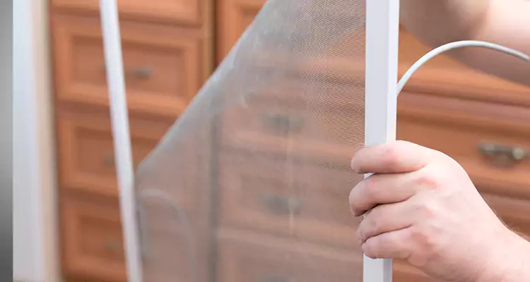 Privacy Mesh Screen Door Installation in Temple Terrace, FL