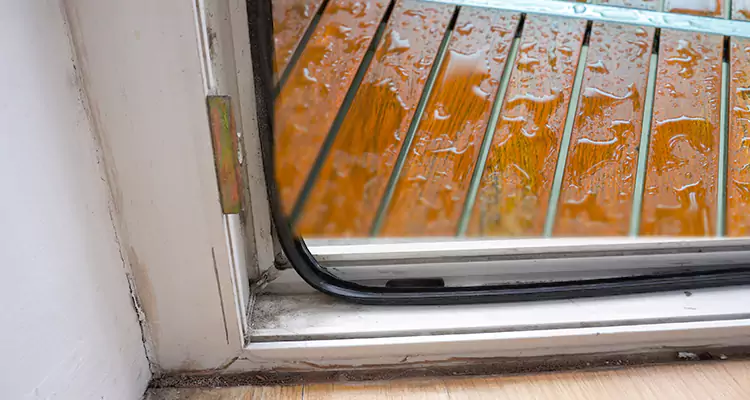 Water Leaking Wooden Patio Doors Repair in Temple Terrace, FL