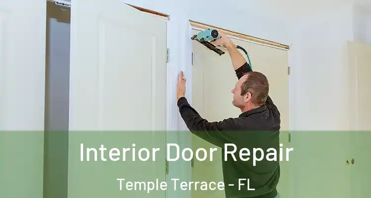  Interior Door Repair Temple Terrace - FL