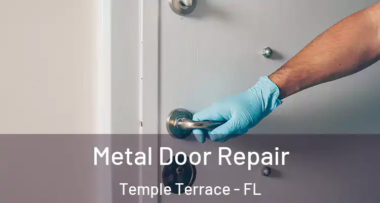  Metal Door Repair Temple Terrace - FL