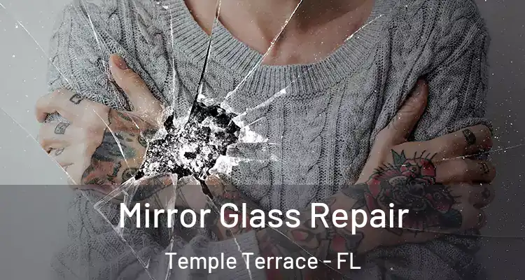  Mirror Glass Repair Temple Terrace - FL