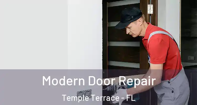  Modern Door Repair Temple Terrace - FL
