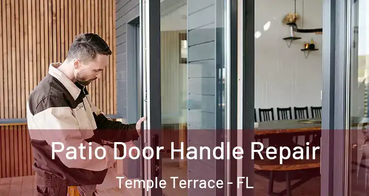  Patio Door Handle Repair Temple Terrace - FL