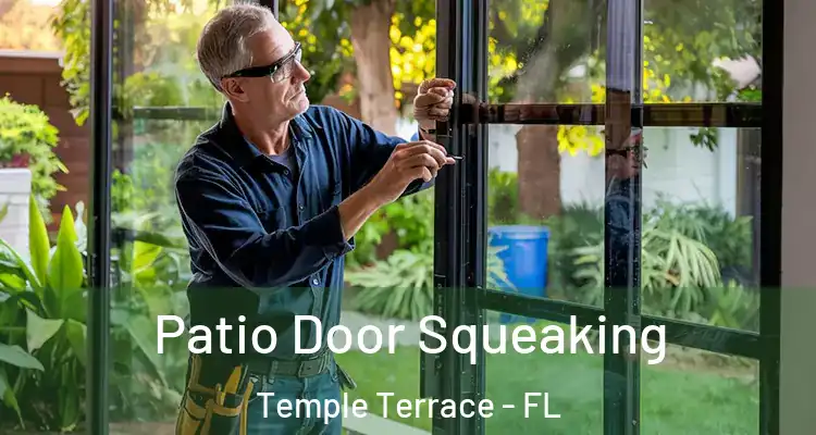  Patio Door Squeaking Temple Terrace - FL