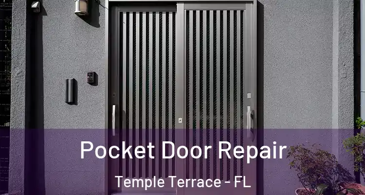  Pocket Door Repair Temple Terrace - FL