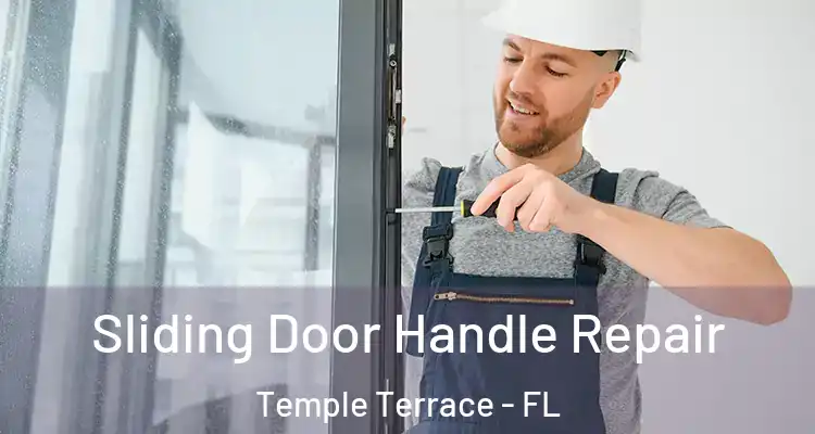  Sliding Door Handle Repair Temple Terrace - FL
