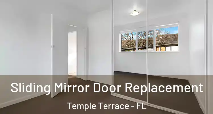 Sliding Mirror Door Replacement Temple Terrace - FL