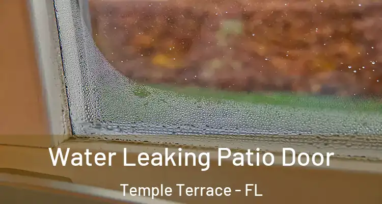  Water Leaking Patio Door Temple Terrace - FL