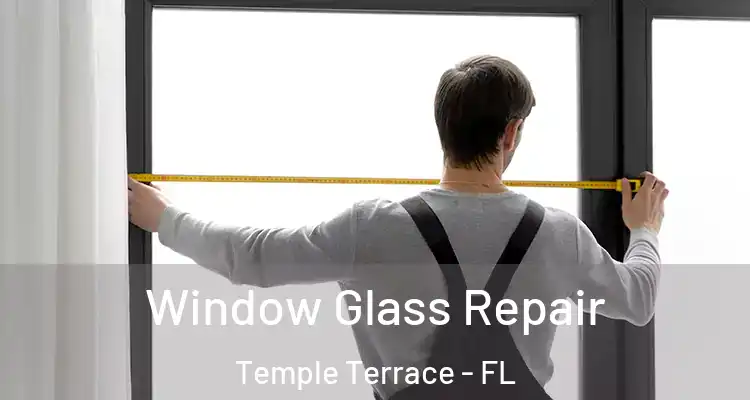  Window Glass Repair Temple Terrace - FL