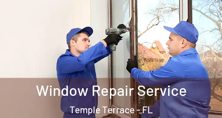  Window Repair Service Temple Terrace - FL