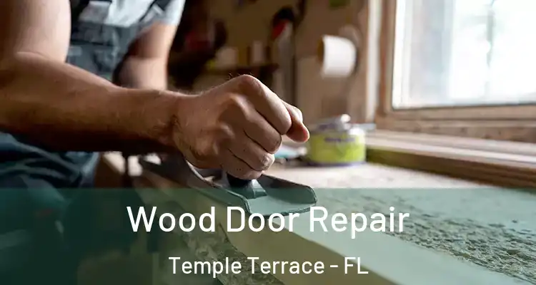 Wood Door Repair Temple Terrace - FL